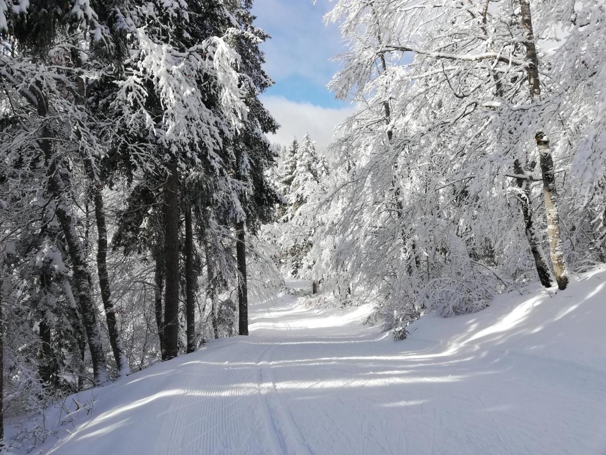 Ferme Des Deux Freres, Autrans, Vercors Exteriér fotografie