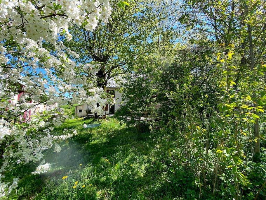 Ferme Des Deux Freres, Autrans, Vercors Exteriér fotografie