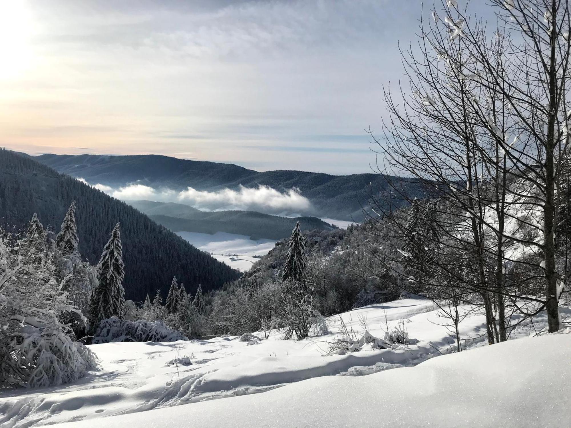 Ferme Des Deux Freres, Autrans, Vercors Exteriér fotografie